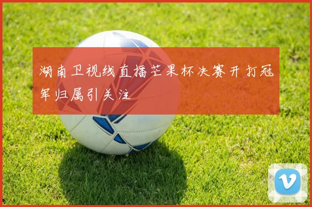 湖南卫视线直播芒果杯决赛开打冠军归属引关注