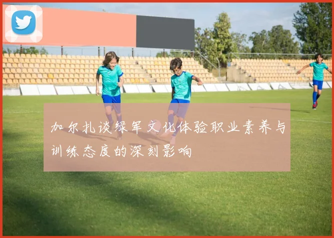 加尔扎谈绿军文化体验职业素养与训练态度的深刻影响
