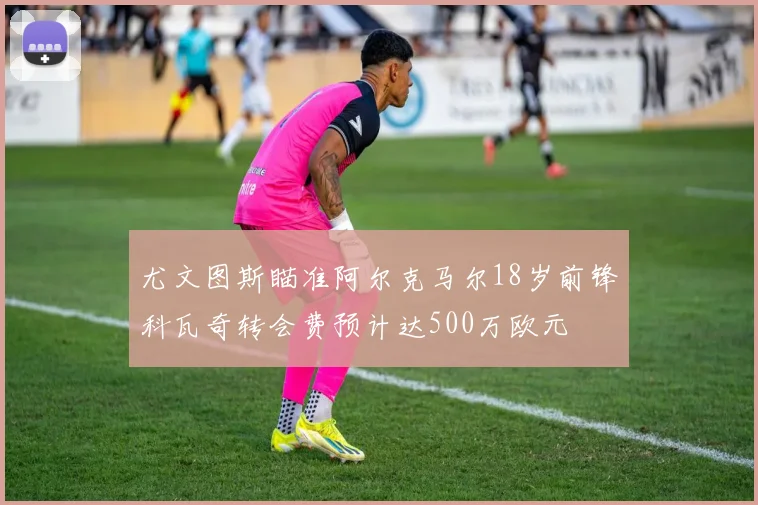 尤文图斯瞄准阿尔克马尔18岁前锋科瓦奇转会费预计达500万欧元