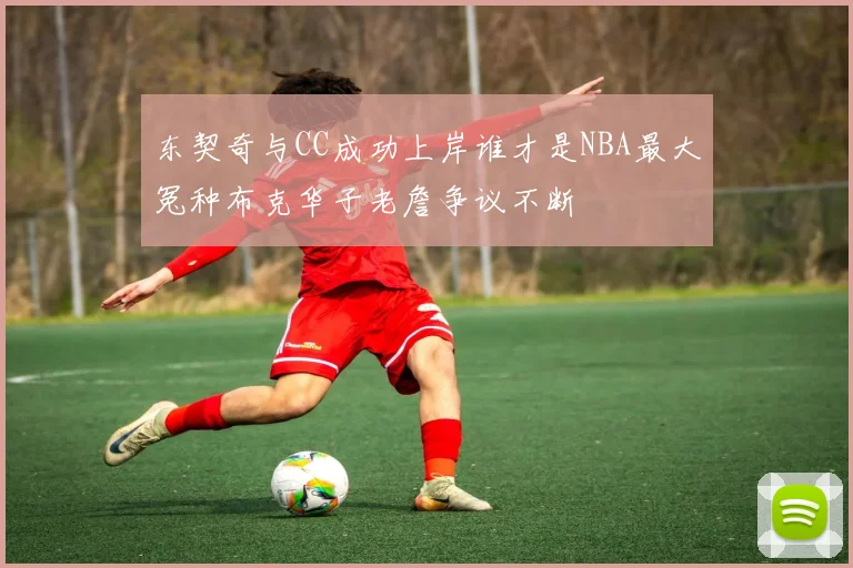 东契奇与CC成功上岸谁才是NBA最大冤种布克华子老詹争议不断