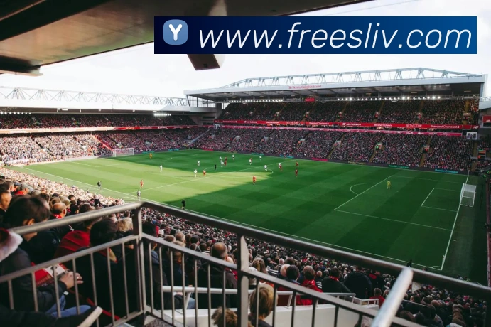 mk体育官网中国官方网平台生态图