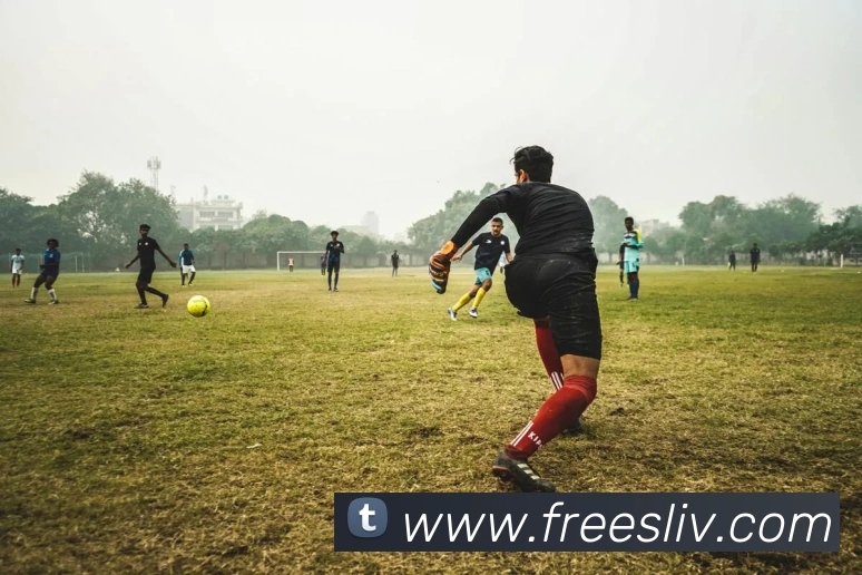 mk体育官网中国官方网APP 封面图