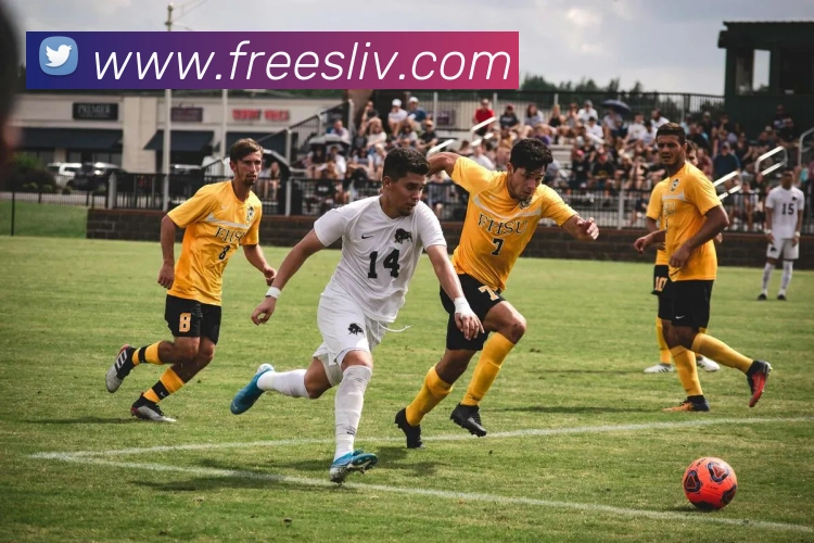 数据防护可视化